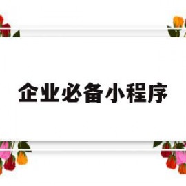 企业必备小程序(科技必备小程序502)