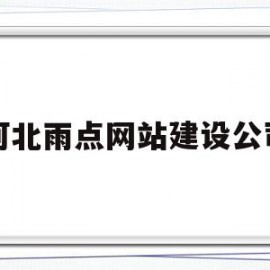 河北雨点网站建设公司(河南雨点市政工程有限公司)