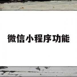 微信小程序功能(怎么锁住微信小程序功能)