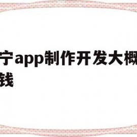 南宁app制作开发大概多少钱的简单介绍