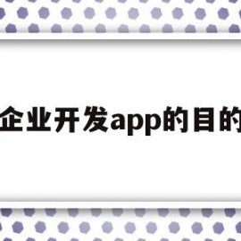 企业开发app的目的(企业开发app的目的和意义)