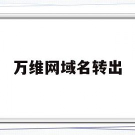 万维网域名转出(万维网域名转出方法)