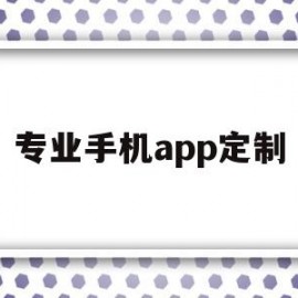 专业手机app定制(app定制公司哪个好用)