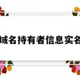 域名持有者信息实名(域名持有者信息如何填写)