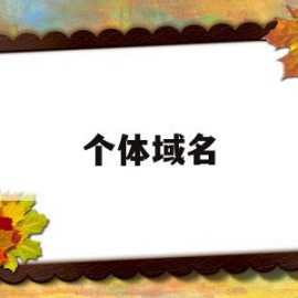 个体域名(个体域名词解释)