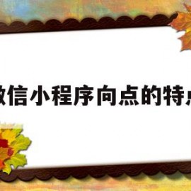 微信小程序向点的特点(微信向点小程序怎么收钱)