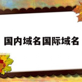 国内域名国际域名(国内和国际域名注册网站)