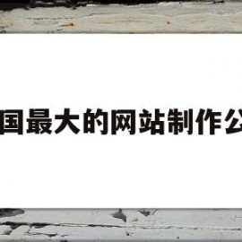 包含中国最大的网站制作公司的词条
