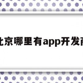 北京哪里有app开发商(北京有名的app开发公司)