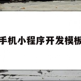 手机小程序开发模板(手机小程序开发模板怎么做)
