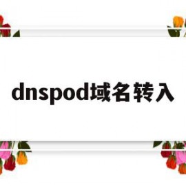 dnspod域名转入(dns可以将域名和ip相互转换吗)