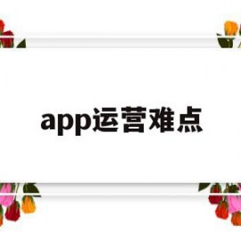 app运营难点(app运营费用预算)