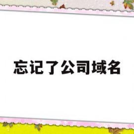 忘记了公司域名(公司域名被注册了 加什么字母)