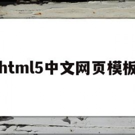 html5中文网页模板(html5中文参考手册下载)