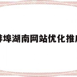 关于蚌埠湖南网站优化推广的信息