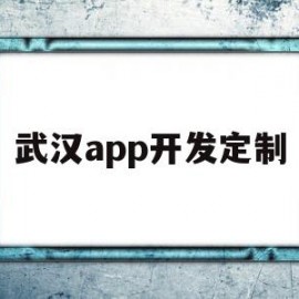武汉app开发定制(武汉app外包开发公司)