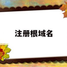 注册根域名(cn域名根服务器)