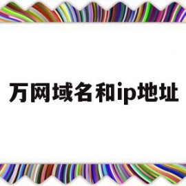 万网域名和ip地址(ip地址,域名和网址有何区别和联系?)