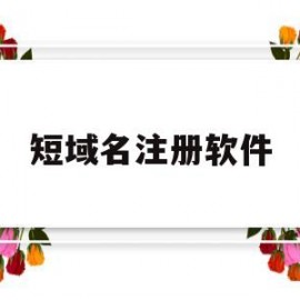 短域名注册软件(超短域名)