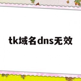 tk域名dns无效(国内最快最稳定的dns)