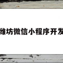 潍坊微信小程序开发(微信小程序后端怎么开发)