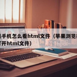 苹果手机怎么看html文件（苹果浏览器怎么打开html文件）