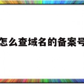 怎么查域名的备案号(怎么查域名的备案号信息)