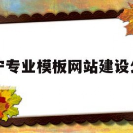 关于辽宁专业模板网站建设公司的信息