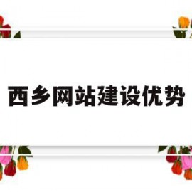 西乡网站建设优势(网站建设的优势和意义谢谢)