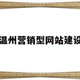 温州营销型网站建设(温州营销型网站建设案例)