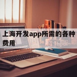 上海开发app所需的各种费用(上海app开发和制作公司)