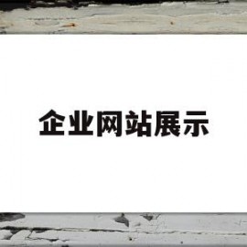企业网站展示(企业展示网站源码)