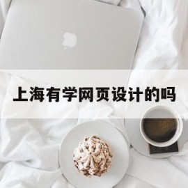 上海有学网页设计的吗(上海有学网页设计的吗多少钱)