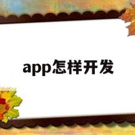 app怎样开发(app如何开发和运行)