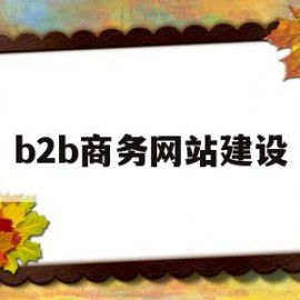 b2b商务网站建设(b2b商业网站)