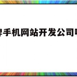 关于品牌手机网站开发公司哪家好的信息