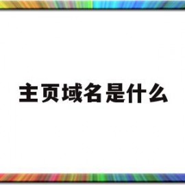 主页域名是什么(网站主域名怎么看)