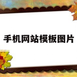 手机网站模板图片(手机网站制作模板)