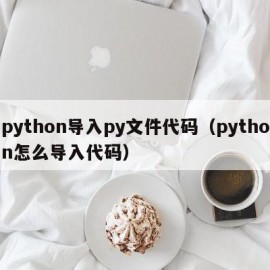 python导入py文件代码（python怎么导入代码）