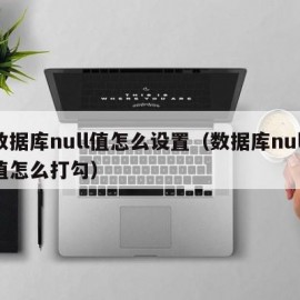 数据库null值怎么设置（数据库null值怎么打勾）