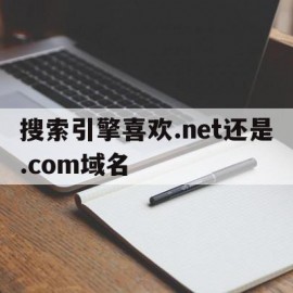 搜索引擎喜欢.net还是.com域名(搜索引擎选哪个)