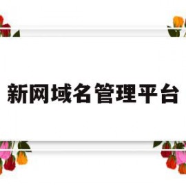新网域名管理平台(新网域名管理平台是什么)
