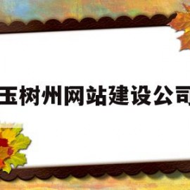 玉树州网站建设公司(网站建设网络推广公司)