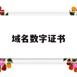 域名数字证书(域名证书在线生成)