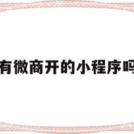有微商开的小程序吗(微信开发的微商小程序)