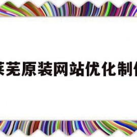 莱芜原装网站优化制作(莱芜原装网站优化制作中心)
