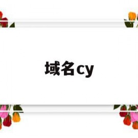 域名cy(域名com代表什么)
