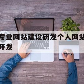 包含专业网站建设研发个人网站开发的词条