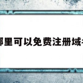 哪里可以免费注册域名(免费域名注册平台有哪些)