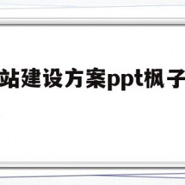 网站建设方案ppt枫子科技(网站建设项目方案)